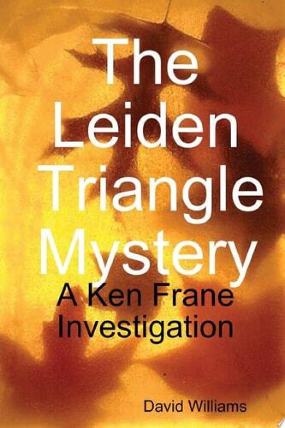 The Leiden Triangle Mystery av Dr David BSC PhD (Loughborough University of Technology) Williams (Paperback)