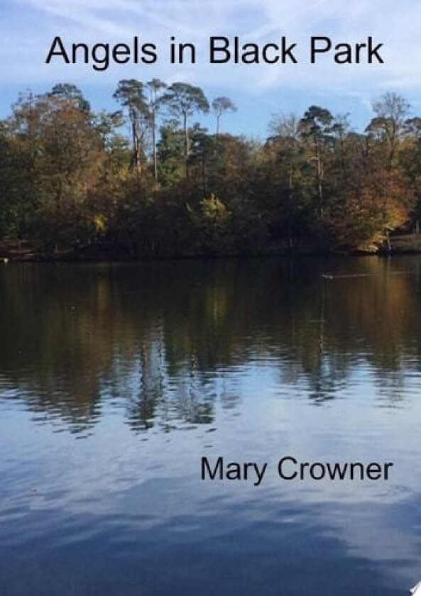 Angels in Black Park av Mary Crowner (Paperback)