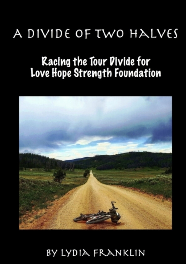 A Divide of Two Halves av Lydia Franklin (Paperback)