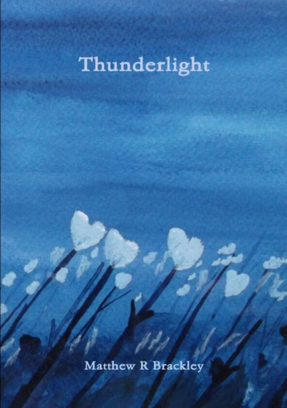 Thunderlight av Matthew R Brackley (Paperback)