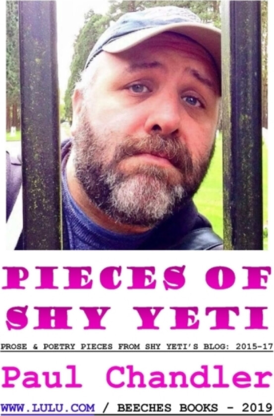PIECES OF SHY YETI av PAUL CHANDLER (Paperback)