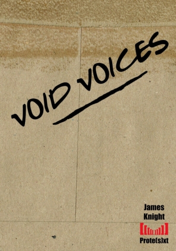 Void Voices av James Knight (Paperback)
