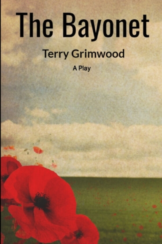 The Bayonet av Terry Grimwood (Paperback)