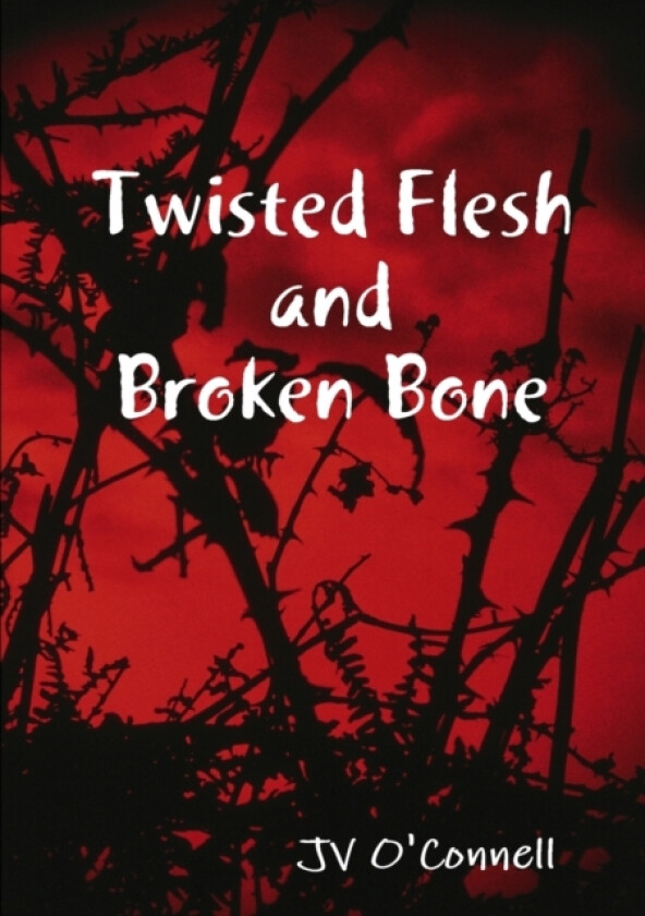 Twisted Flesh and Broken Bone av Jv O'Connell (Paperback)
