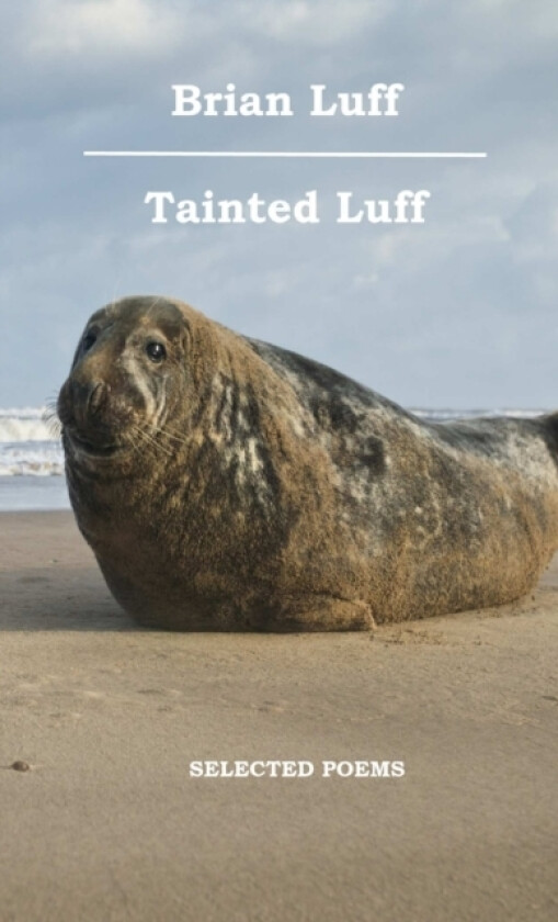 Tainted Luff av Brian Luff (Paperback)