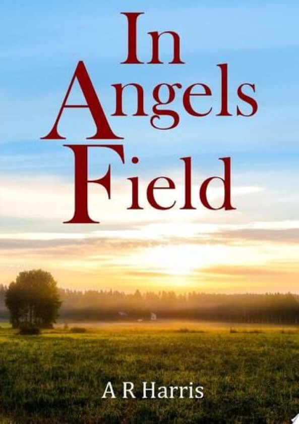 In Angels Field av A R Harris (Paperback)