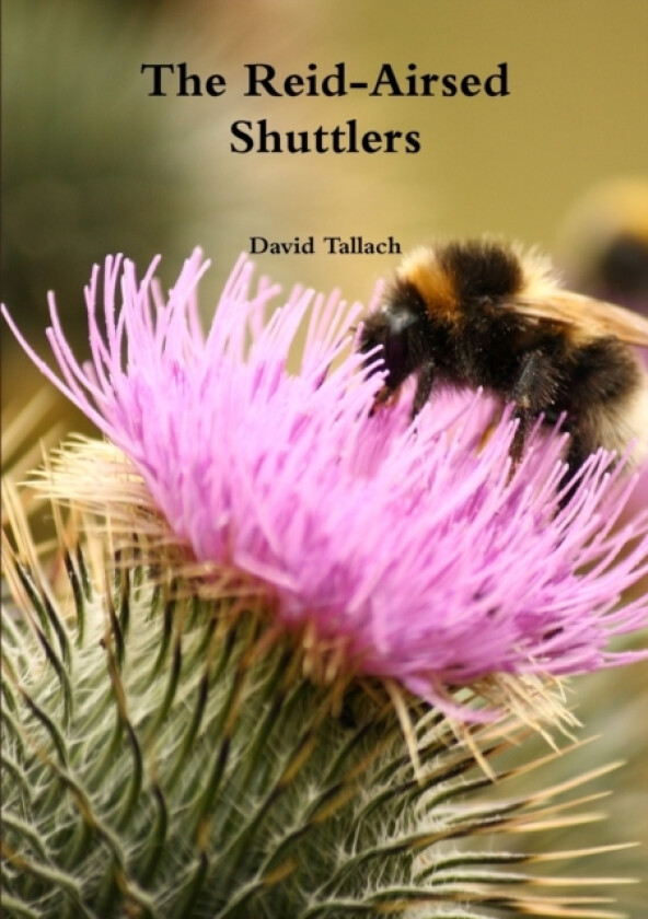 The Reid-Airsed Shuttlers av David Tallach (Paperback)