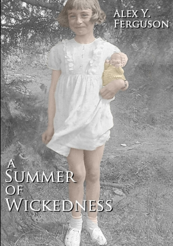 A Summer of Wickedness av Alex Y. Ferguson (Paperback)