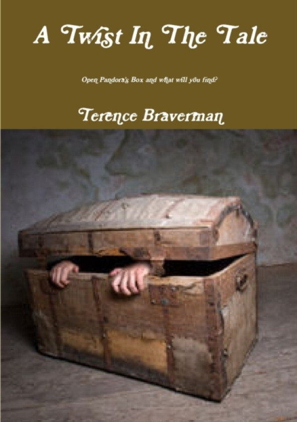 A Twist in the Tale av Terence Braverman (Paperback)