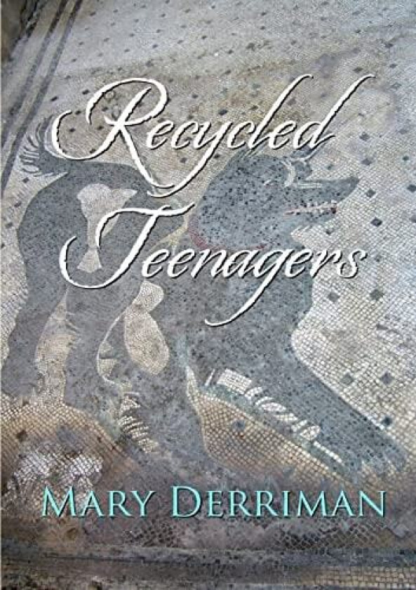 Recycled Teenagers av Mary Derriman (Paperback)