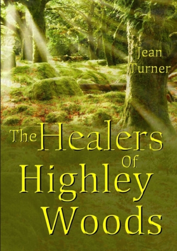 The Healers Of Highley Woods av Jean Turner (Paperback)