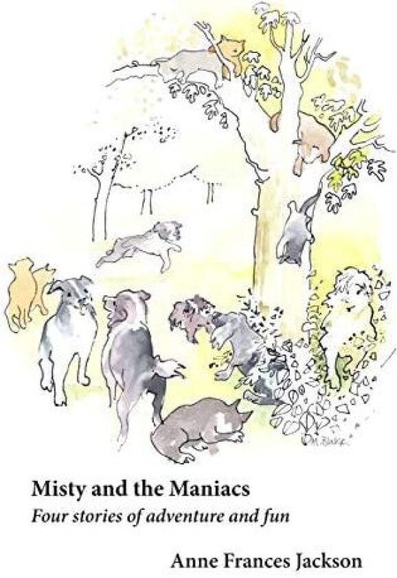 Misty and the Maniacs av Anne Frances Jackson (Paperback)