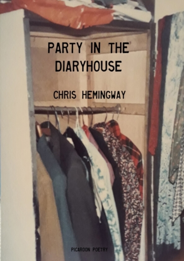 Party in the Diaryhouse av Chris Hemingway (Paperback)