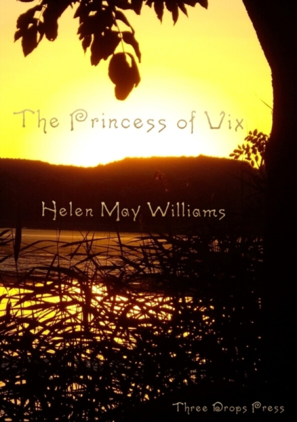 The Princess of Vix av Helen May Williams (Paperback)