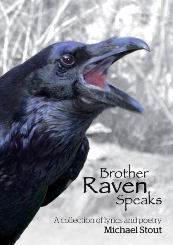 Brother Raven Speaks av Michael Stout (Paperback)