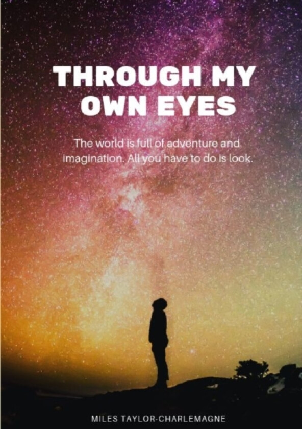 Through My Own Eyes av Miles Taylor-Charlemagne (Paperback)
