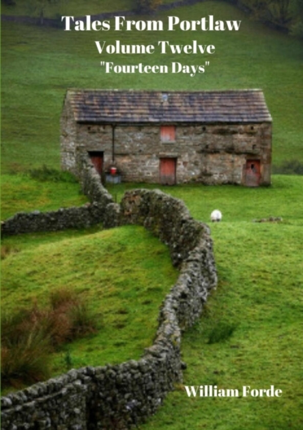 Tales From Portlaw Volume 12 av William Forde (Paperback)