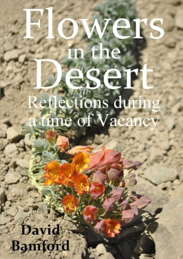 Flowers in the Desert: Reflections during a time of Vacancy av David Bamford (Paperback)
