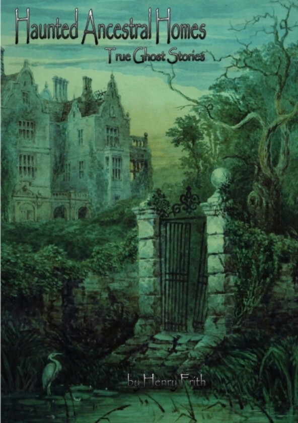 Haunted Ancestral Homes av J Murphy (Paperback)