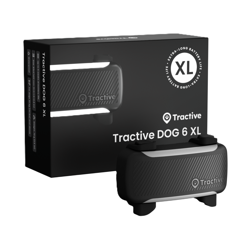 DOG 6 XL GPS Svart - Hund - Hundetrening & bruksspor - Tractive