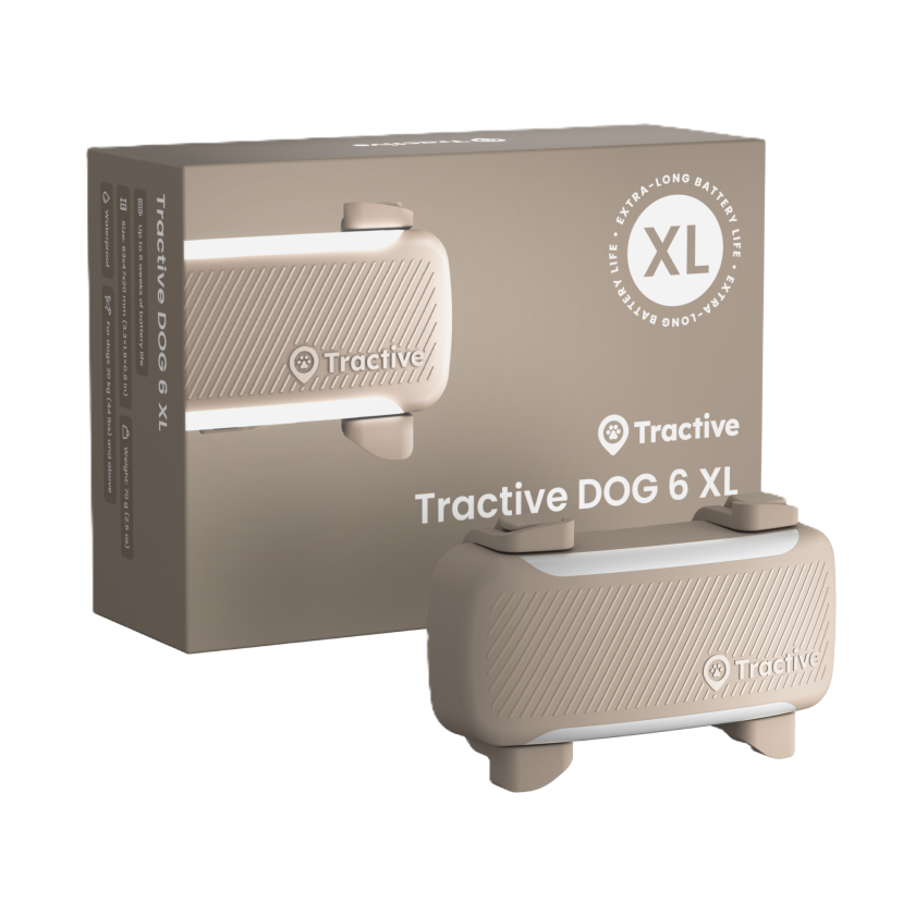 DOG 6 XL GPS Brun - Hund - Hundetrening & bruksspor - Tractive