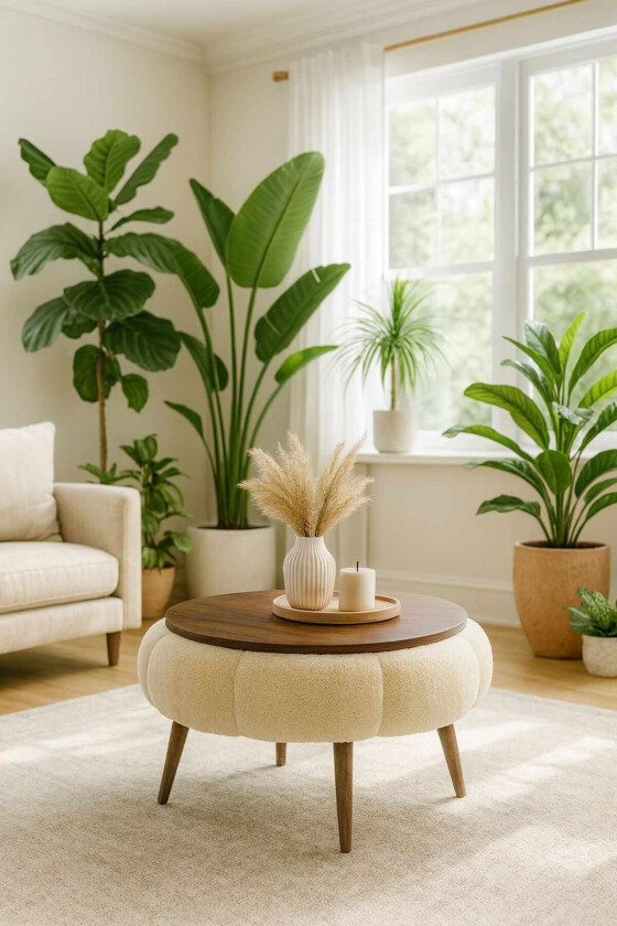 Coffee Table Homitis