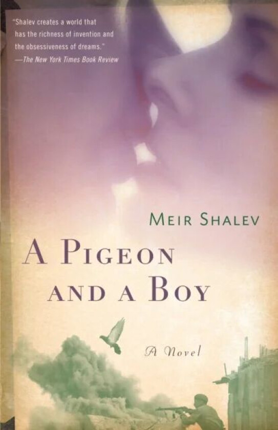 A Pigeon and a Boy av Meir Shalev