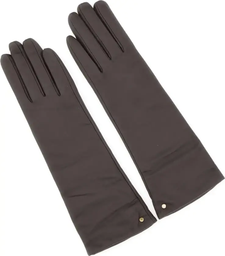 Dame, Accessories, Brun, M
