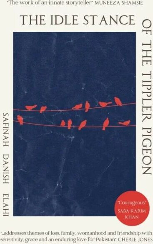 The Idle Stance of the Tippler Pigeon av Safinah Danish Elahi
