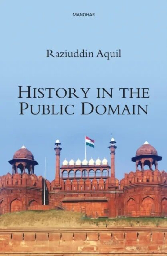 History in the Public Domain av Raziuddin Aquil