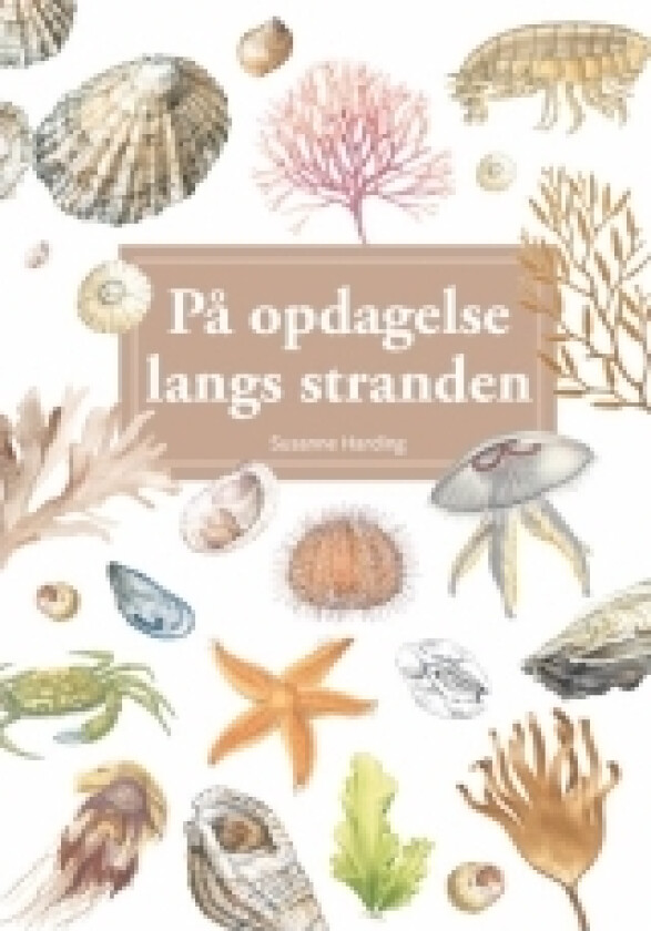 På oppdagelse langs stranden, display med 10 stk. | Susanne Harding | Språk: Dansk
