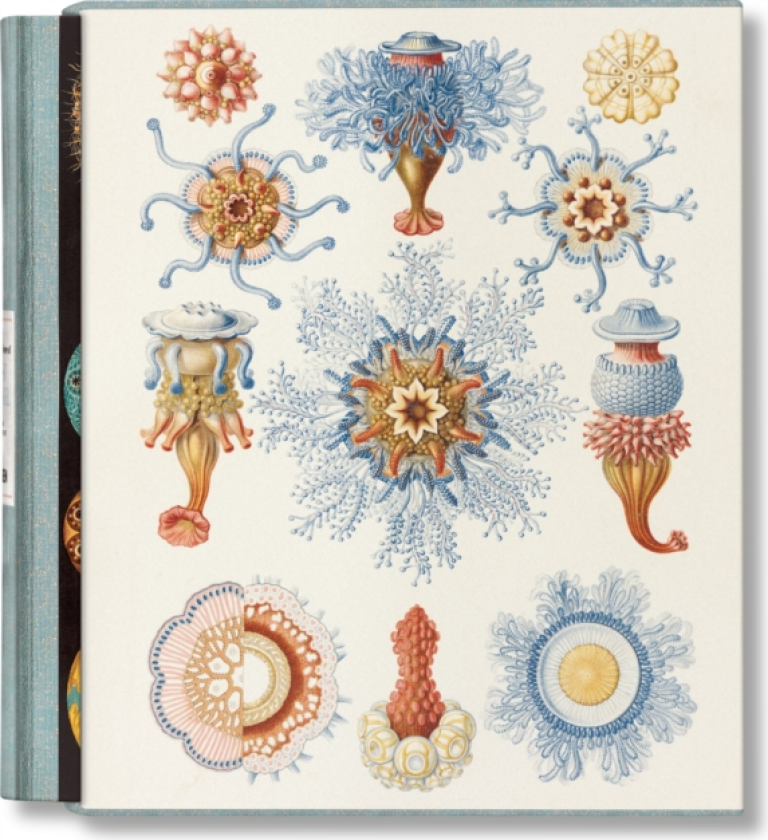 The Art and Science of Ernst Haeckel