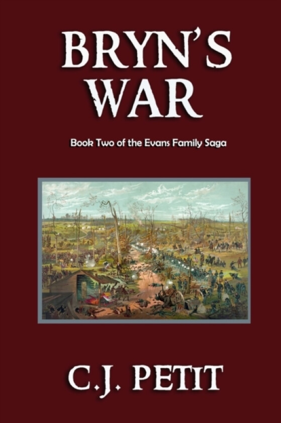 Bryn's War av C J Petit (Paperback)