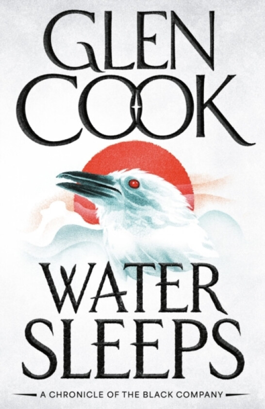 Water Sleeps av Glen Cook (Paperback)
