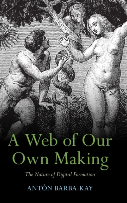 A Web of Our Own Making av Anton Barba-Kay (Hardcover)