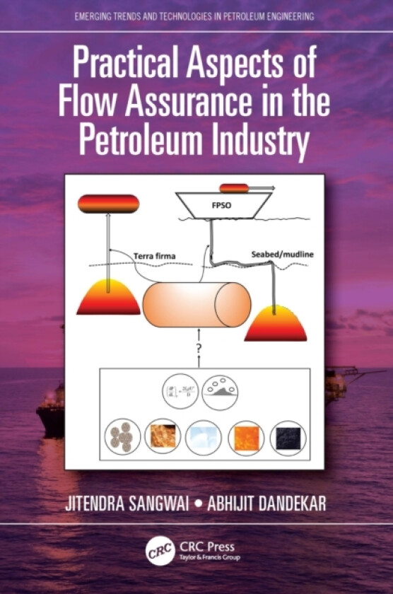 Practical Aspects of Flow Assurance in the Petroleum Industry av Jitendra Sangwai, Abhijit Dandekar (Paperback)