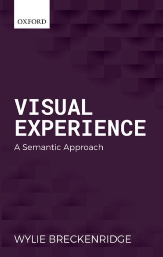 Visual Experience av Wylie Breckenridge (Hardcover)