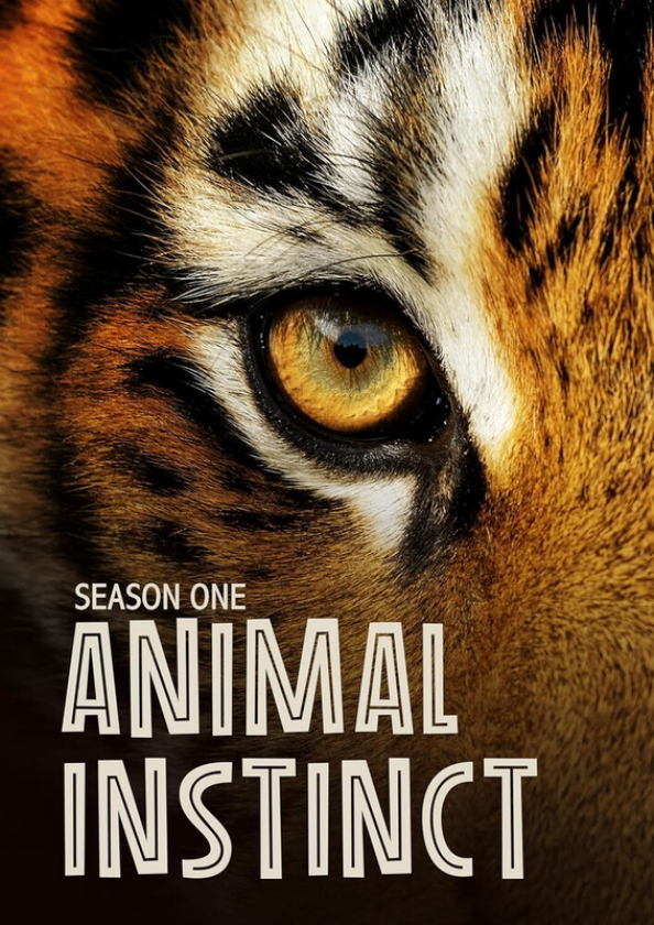 Animal Instinct Sesong 1 DVD