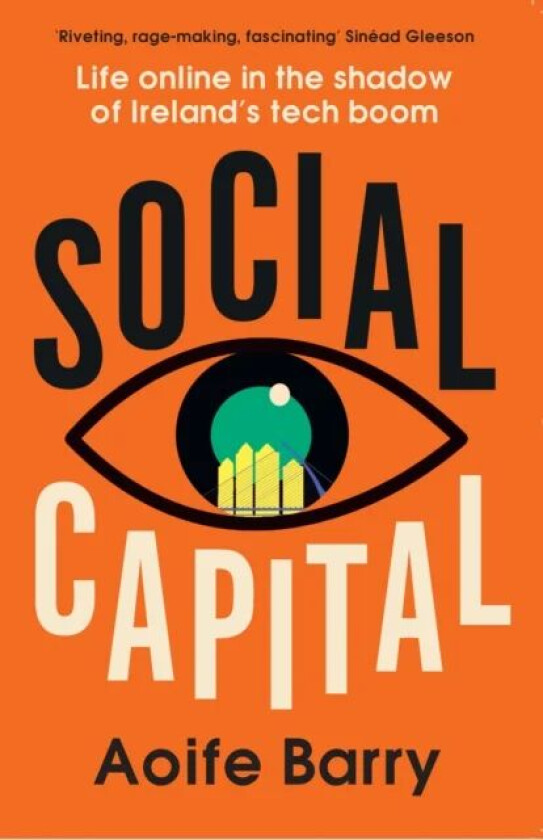 Social Capital av Aoife Barry
