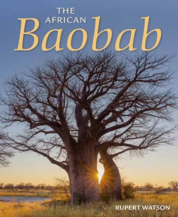 The African Baobab Av Rupert Watson