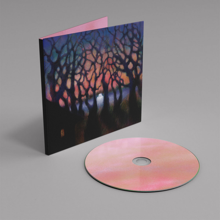 Family Stereo The Thread CD
