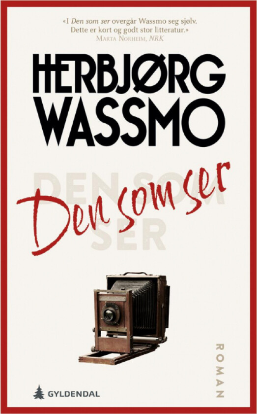 Den som ser av Herbjørg Wassmo