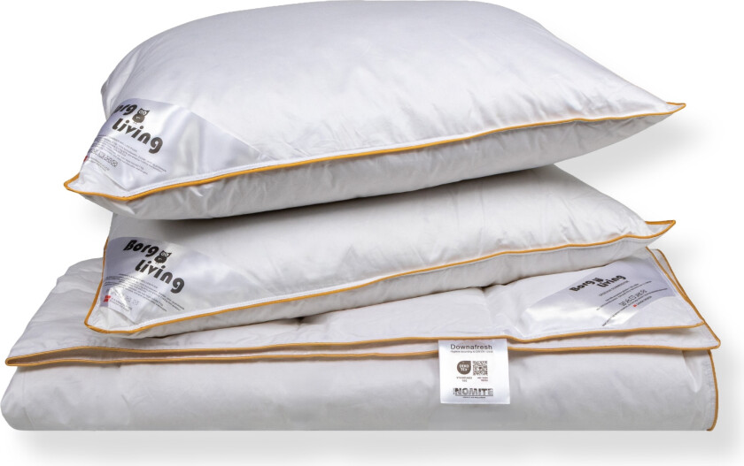 Dyne pute sett med gåsedun - Sommerdyne - 200x220 cm + 2x 60x63 cm
