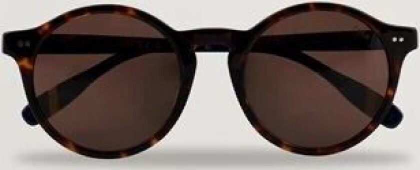 Polo Ralph Lauren 0PH4204U Sunglasses Dark Havana