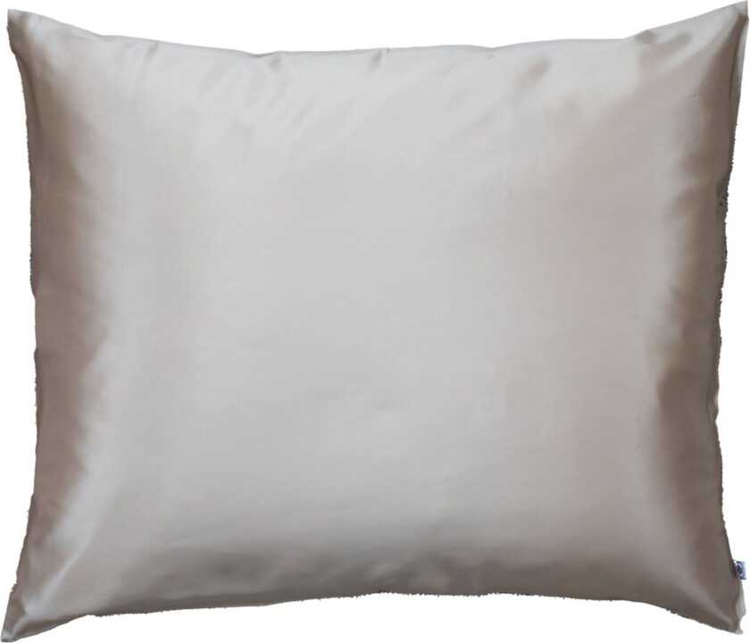 Silk Pillow Case Beige