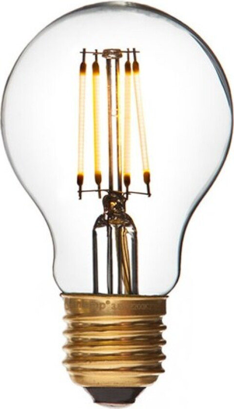 Lyktlampe Exterior Standard LED 240V 2.5W E27