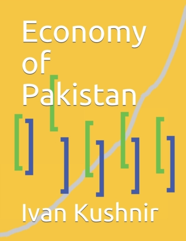 Economy of Pakistan av Ivan Kushnir (Paperback)