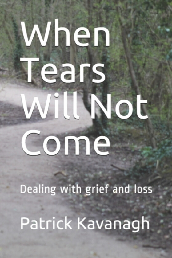 When Tears Will Not Come av Patrick W Kavanagh (Paperback)