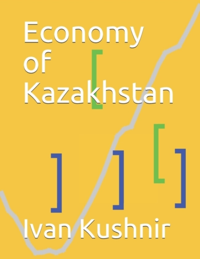 Economy of Kazakhstan av Ivan Kushnir (Paperback)