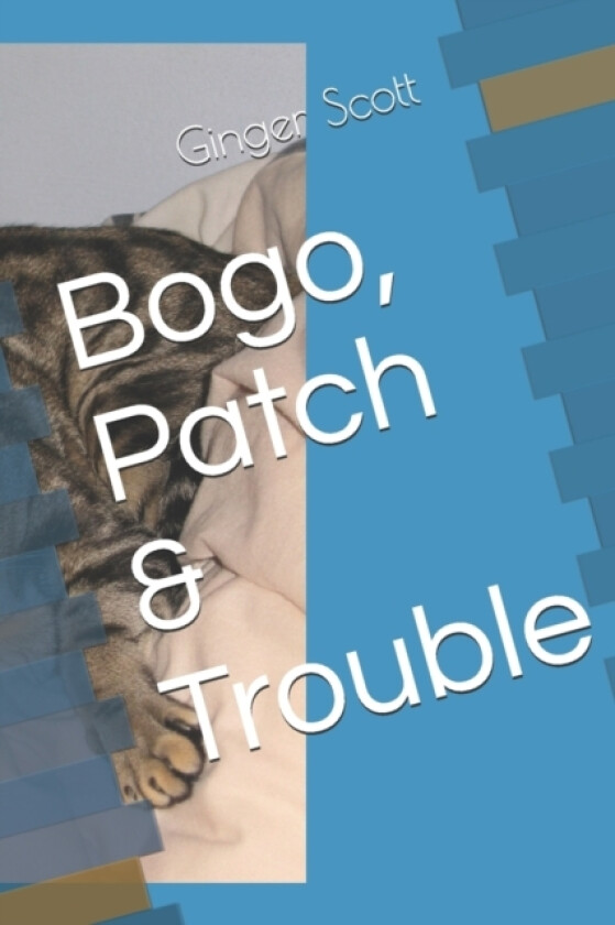 Bogo, Patch & Trouble av Ginger Scott (Paperback)